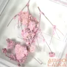 4 Részes Rózsaszín Körömdíszítő Szett - Qqs-2504190 Pink - Glitter, Fólia, Kagylóhéj Darabok, Szárított Virágok