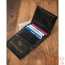 Always Wild férfi bőr pénztárca N20194-VTK-D-4893 BL