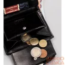 Peterson női bőr pénztárca PTN RD-26-GCL-A – fekete